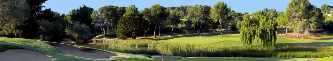 El Bosque Golf