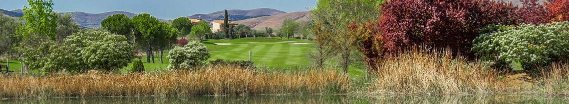 Gambito Golf Club Calatayud