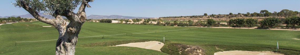 New Sierra Golf
