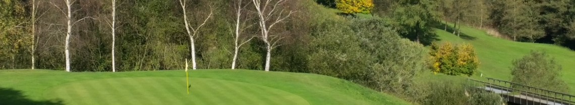 Rovacías Golf Comillas
